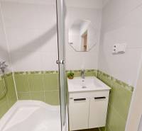 Bathroom with a sink and a shower in a studio apartment.
