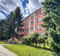 An apartment building on Komenského Street in Senica, surrounded by trees and well-maintained greenery.