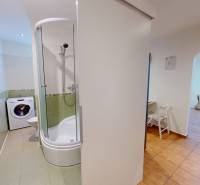 Bathroom with a washing machine and a shower in a studio apartment, cozy transition to the living room.