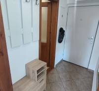 Entrance hall of a 2-room apartment with a built-in wardrobe, tiles, and doors with wood imitation.