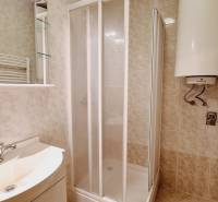 A bathroom in a 3-room apartment with a shower and a water heater.