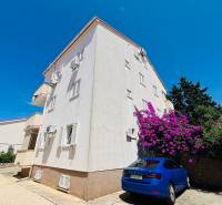 Apartment building in Novalja with parking, white-flowered trees, and a blue car in front of the building.