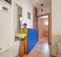 A hallway in a 2-room apartment with access to the bathroom, blue furniture, and decorative flowers.