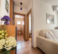 Bright 1-bedroom apartment with a comfortable sofa and a bathroom accessible from the hallway.