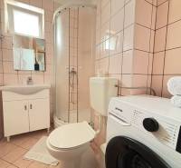 A bathroom in a 3-room apartment with a toilet, shower, and washing machine.