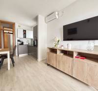 Living room in a 3-room apartment with a kitchen and dining table.