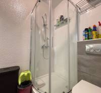 A bathroom in a 2-room apartment with a corner shower and a shelf for cleaning products.