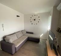 Living room in a two-room apartment with a sofa, television, and wall clock.