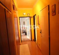 A hallway in a 2-room apartment with yellow walls and wooden doors.
