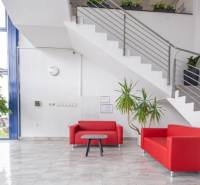 Offices with red sofas, plants, and stairs create a pleasant atmosphere for visitors.