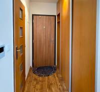 A hallway in a 2-room apartment with a wooden floor and a built-in wardrobe.