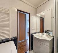 Bathroom in a 2-room apartment with a mirror and a sink, visible hallway and corridor.