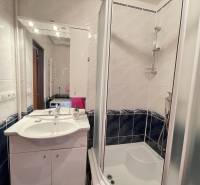 Bathroom in a 2-room apartment with a sink, shower, and mirror above the cabinet.