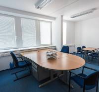 Blue carpeted office with a large window, desk, and blue chairs.