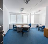 Offices with desks and chairs, blue carpet, white walls, natural light from windows.