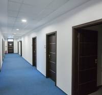 Office spaces with blue carpet and dark doors, ceiling lighting.