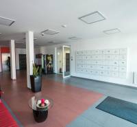 Offices with a lobby, a Christmas tree, mailboxes, and plants in vases.