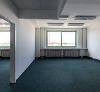 Spacious offices with a large window and carpet, with plenty of natural light.