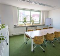 Offices with a desk and chairs, greenery, and a window with a view of the city.