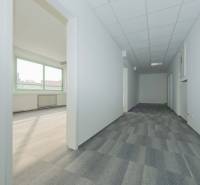 Offices with a view, gray carpet, and white walls for a work environment.
