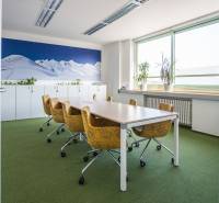 Offices with green carpet, yellow chairs, and a large mountain mural.