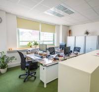 Offices with desks, computers, and greenery, equipment for comfortable work.