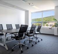 Office with a conference table and chairs, window with a view of greenery.
