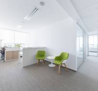 Bright office with comfortable chairs and a conference table, decorated with plants.