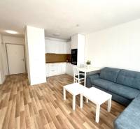 Living room in a two-room apartment with wooden flooring and a kitchenette.