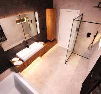 A bathroom with wooden furniture, a shower enclosure, and a dark wall in a family house.