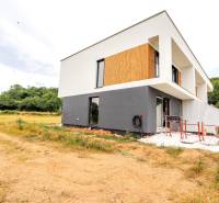A family house in Piešťany surrounded by nature with a modern geometric design.