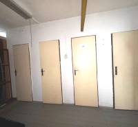 Interior of commercial premises with four doors and a shelf.