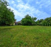 A garden with a lawn and a tree by a family house in Vidiná, surrounded by green nature.