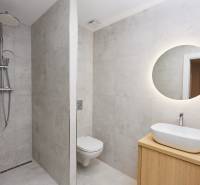 Bathroom in a 2-room apartment with an open shower and illuminated mirror.