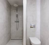 Bathroom with a shower and toilet, minimalist style in a 2-room apartment.