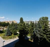 A view of apartment buildings surrounded by trees and a playground in Košice, Juh district.