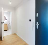 Entrance hall in a 2-room apartment with wooden flooring and a bathroom in the background.