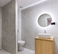 A bathroom in a 2-room apartment with a sink, mirror, and shower corner.