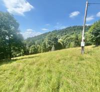 A shot of a green meadow with a forest background in the Oščadnica area at Dedovka, suitable for residential land.