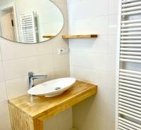 A bathroom of a two-room apartment with a mirror, a wooden sink, and a ladder radiator.