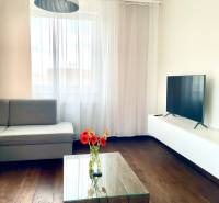 A room in a 2-room apartment with a sofa, TV, table, and flowers on the floor.
