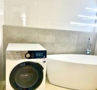 A bathroom with a washing machine and a freestanding bathtub in a two-room apartment.