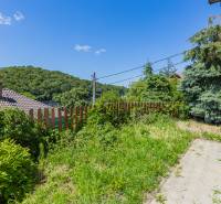 The courtyard of a family house on Chrasťová Street in Bratislava - Nové Mesto with a view of greenery.