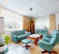 Living room with a fireplace, green sofa, and wooden furniture in a family house.