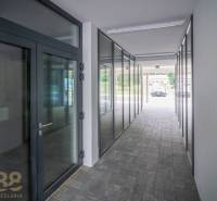 Hallway of commercial spaces with glass doors and a view of the exterior.