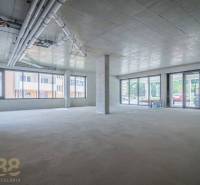 Spacious commercial spaces with large windows and raw concrete ceiling.