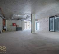 Spacious commercial spaces with concrete walls and large glass doors.
