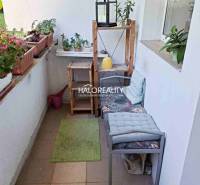 Balcony of a 3-room apartment with flowers, shelves, and seating in BA - Dúbravka.