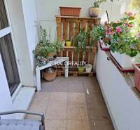 A balcony of a 3-room apartment filled with flowers and plants with a comfortable chair.
