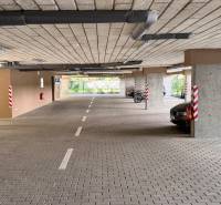 Parking spaces in a garage with a car, bicycle, and concrete pillars.